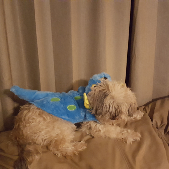 Feeling 1970's Grovy Fabulous! - Picture 2 of 2